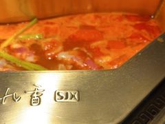 -蜀九香火锅(彩虹店)