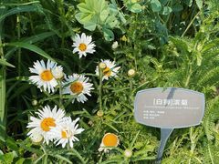 -国家植物园