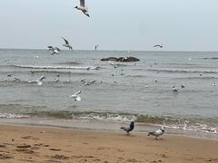 -老虎石海上公园