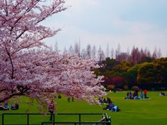 -复旦大学光华楼