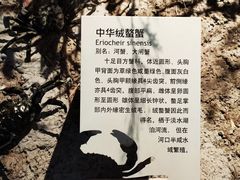 -上海长江河口科技馆