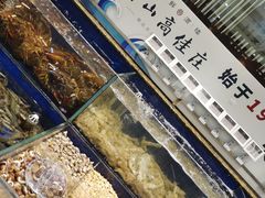 水产区-高佳庄·舟山海鲜(海景旗舰店)