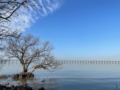 -宝安西湾红树林湿地公园