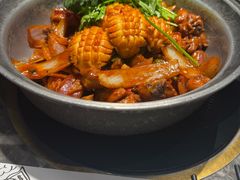 -禄婶鸡煲·打边炉