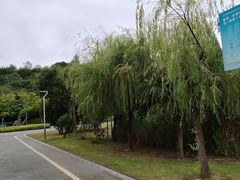 -飞凤山奥体公园