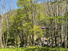 -帽儿山风景区