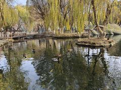 -水磨沟公园