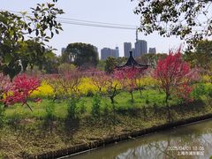 -南汇桃花村