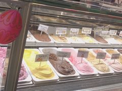 -Dooley's Premium Ice Cream