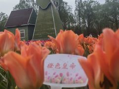 -石家庄市植物园