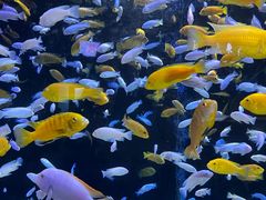 -成都浩海立方海洋公园