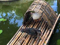 -三亚亚龙湾天域度假酒店