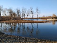 -东郊湿地公园
