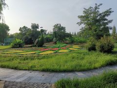 -泗洪洪泽湖湿地景区