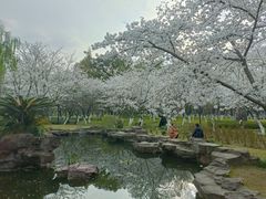 -范蠡湖公园