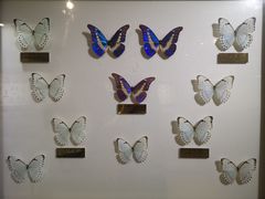 -上海昆虫博物馆