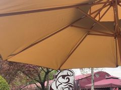 -麻小度青花椒鱼(安德总店)