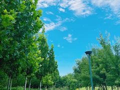-马家湾湿地公园