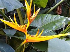 -海南热带野生动植物园