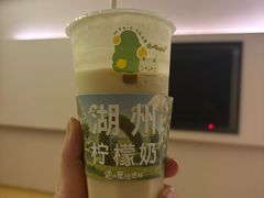 -猫的魔法密林(衣裳街店)
