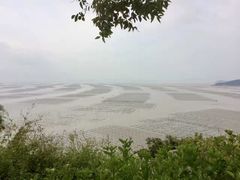 -北岐滩涂