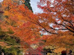 -三千院