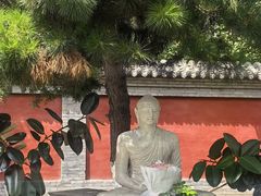 -护国法轮寺