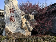 -梅园