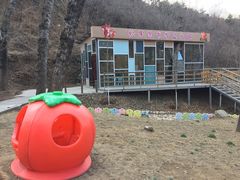 -欢乐松鼠谷