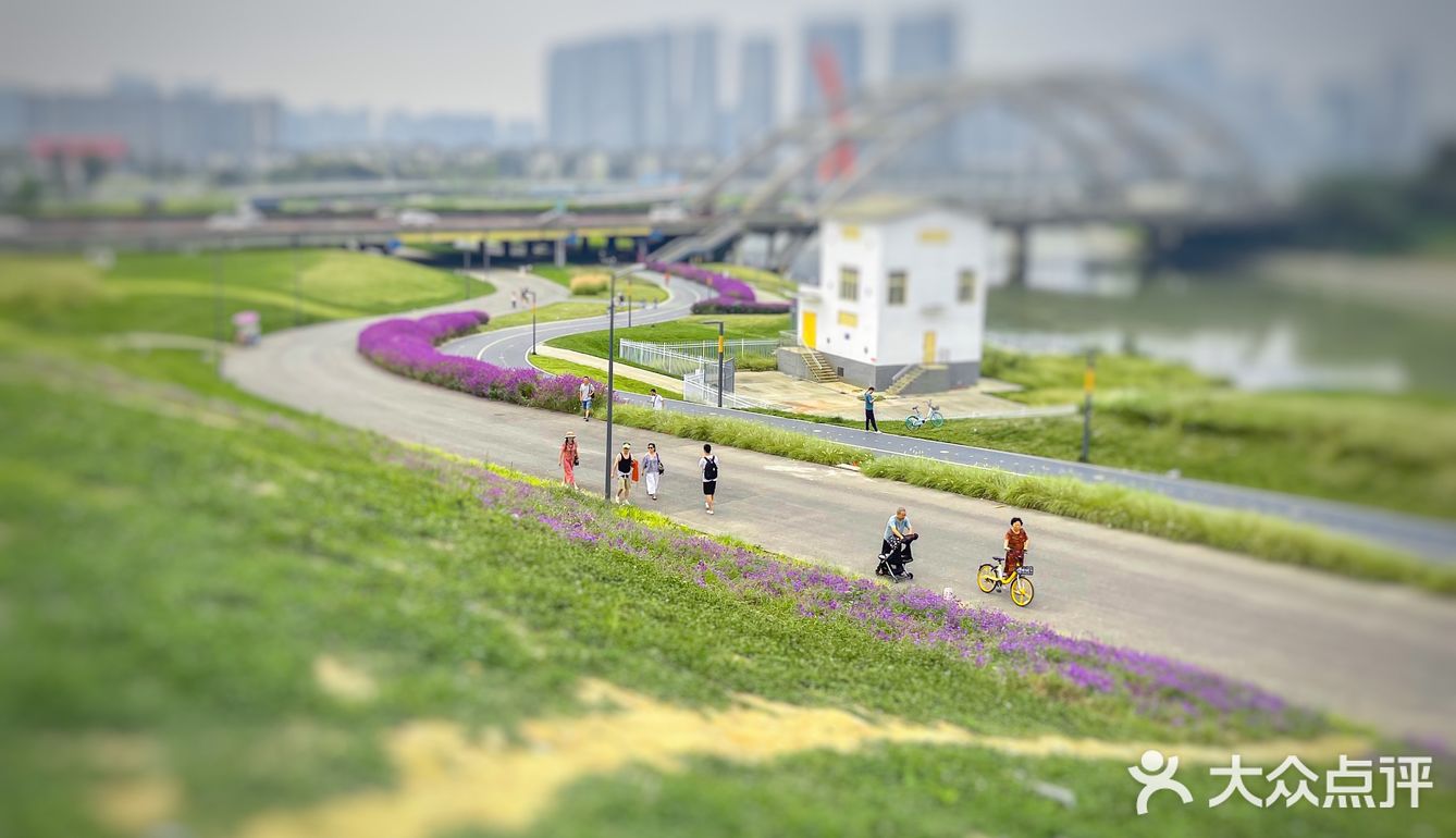 成都旅游｜这里拍照很出片