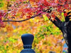 -香山公园