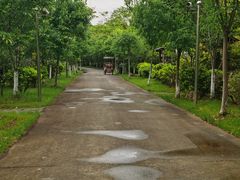 -上海海湾国家森林公园