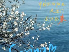 -颐和园
