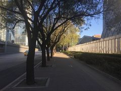 -中央广播电视总台(光华路办公区)