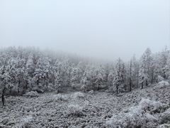 -瓦屋山景区