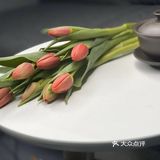亭亭玉立郁金香🌷