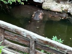 -长鹿旅游休博园