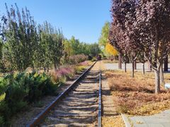 -永定河休闲森林公园