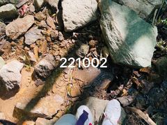 -会稽山峡洞漂流-上青古道