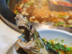 食材（鲜鱼）-吃城都·鱼蛙火锅(西玉龙街店)
