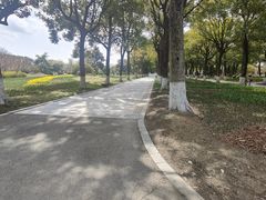 -上海鲜花港