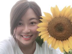 -紫颐香薰山谷景区
