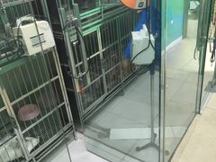 -半岛宠物医院24小时(科华中路店)