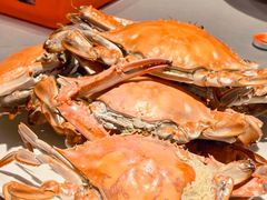 -渔民船说·北塘海鲜·天津菜·海肠捞饭(北塘古镇店)