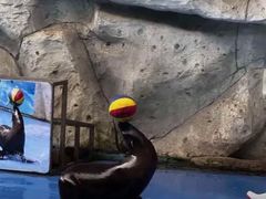 -泉州海丝野生动物世界