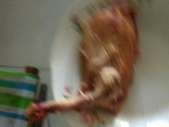 -老孙记烧鸡