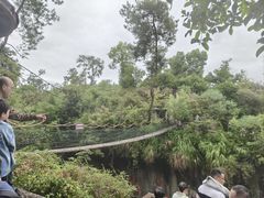 -千岛湖东南湖区