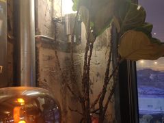 -Cooking Man(中懋天地店)