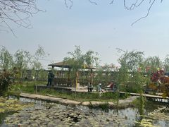 -同銮特种养殖场·龙虾垂钓