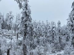 -瓦屋山景区